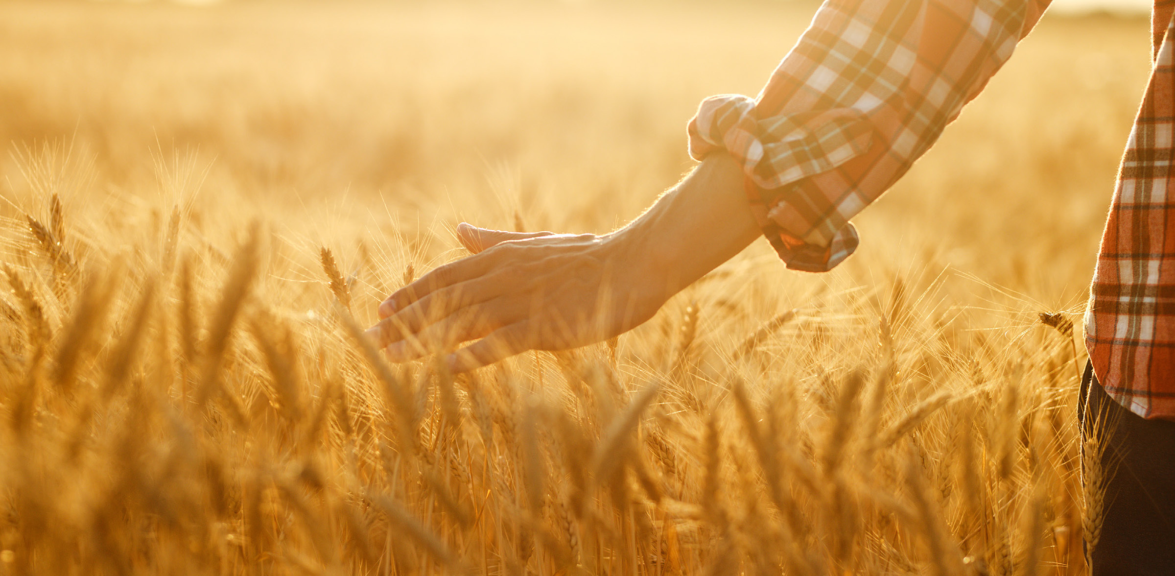 Caring for cybersecurity at one of Belgium’s leading hospitals