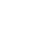 Druid logo